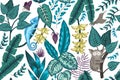 Vector seamless background with tropical plants, insects and animals. Exotic jungle repeating pattern with chameleon, tarsier,