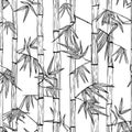 Vector seamless bamboo forest pattern. Design for textile print, asian spa, massage, cosmetics package, materials.