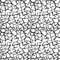 Vector Seamless Black and White Geometric dry soil Pattern Background Royalty Free Stock Photo