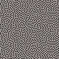 Vector Seamless Black and White Organic Lines Pattern