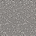Vector Seamless Black and White Organic Rounded Jumble Lines Maze Coral Pattern