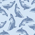 Vector seamless blue dolphin pattern with hand drawn dolphin doodle illustrations Royalty Free Stock Photo