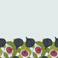 Vector seamless border with figs.