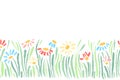 Vector seamless border with hand drawing daisies and grass, colorful artistic botanical illustration, isolated floral Royalty Free Stock Photo