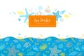 Vector seamless border with sea elements. Royalty Free Stock Photo