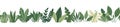 Vector seamless border with tropical plants. Natural frieze with bushes of greenery