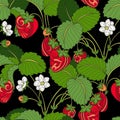 Vector Seamless Colored Fruit Pattern