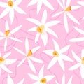 Vector Seamless Daffodils Narcissus Pattern on pink background. Beautiful spring flowers design for textile, postcards,wallpaper,