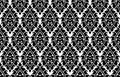 Vector seamless damask pattern. Rich ornament, old Damascus style pattern Royalty Free Stock Photo
