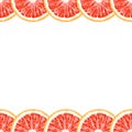 Vector seamless decorative horizontal border of grapefruit slice Royalty Free Stock Photo
