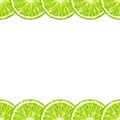 Vector seamless decorative horizontal border of lime slices. Citrus