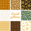 Vector seamless ears of wheat patterns set.