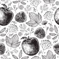 Vector seamless eco, autumn, nature pattern. Hand drawn apples, berries, leaves, plants. Black and white background Royalty Free Stock Photo