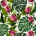 Vector seamless pattern with proteas and monsteras Royalty Free Stock Photo