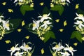 Vector seamless floral background, flowers daffodils with leaves on a dark background, spring bouquets of flowers in a feminine