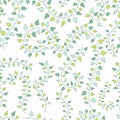 Vector seamless floral background with green clambering plants