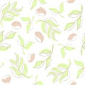 Vector seamless floral coffee and tea texture