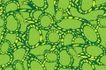 Vector seamless floral pattern with green biological structure Royalty Free Stock Photo