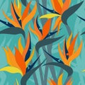 Vector seamless floral pattern with herbaceous plant of strelitzia. Royalty Free Stock Photo