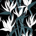 Vector seamless floral pattern with herbaceous plant of strelitzia. Royalty Free Stock Photo