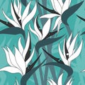 Vector seamless floral pattern with herbaceous plant of strelitzia. Royalty Free Stock Photo