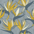 Vector seamless floral pattern with herbaceous plant of strelitzia. Royalty Free Stock Photo