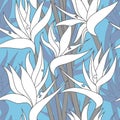 Vector seamless floral pattern with herbaceous plant of strelitzia. Royalty Free Stock Photo