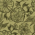 Vector seamless floral pattern with herbarium