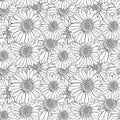 Vector Seamless Floral Pattern, Outline Flowers, Black and White Sketch Illustration, Endless Background. Royalty Free Stock Photo