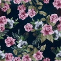 Vector seamless floral pattern with pink roses, watercolor Royalty Free Stock Photo