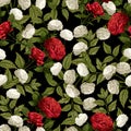 Vector seamless floral pattern with red and white roses on black Royalty Free Stock Photo