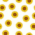 Vector seamless floral pattern with sunflower plant flowers Royalty Free Stock Photo