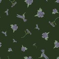 vector seamless flying hummingbird floral pattern, spring summer time, gentle romantic on a dark green background