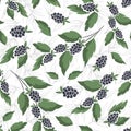 Vector seamless fruity pattern with blackberries on foliate twigs.