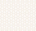 Vector seamless geometric pattern. Modern thin hexagon grid texture Royalty Free Stock Photo