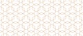 Vector seamless geometric pattern. Modern thin hexagon grid texture Royalty Free Stock Photo