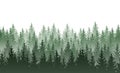 Vector Seamless Green Misty Coniferous Forest Pattern Isolated On White Background