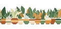 Vector seamless horizontal border with home flowers in pots isolated from background. Gardening frieze of plants