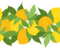 Vector seamless horizontal border with lemons and foliage. Frieze with citruses and leaves Royalty Free Stock Photo