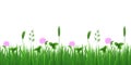 Vector seamless image of green realistic grass