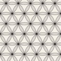 Vector seamless lattice pattern. Modern stylish texture with monochrome trellis. Repeating geometric grid.