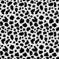 Vector seamless leopard pattern, black spots on a grey background classic design Royalty Free Stock Photo