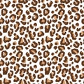 Vector seamless leopard pattern, black spots on a white background classic design Royalty Free Stock Photo