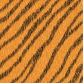 Vector seamless orange tiger fur pattern.