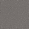 Vector Seamless Organic Rounded Line Maze Coral Pattern