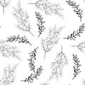 Vector seamless outline leaves pattern. Black and white background. Nature illustration