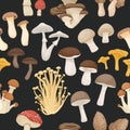 Vector Seamless Patern with Edible, Poisonous Inedible Mushrooms. Hand Drawn Cartoon Mushrooms. Different Mushrooms on