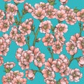 Vector seamless pattern with almond blossom in blue background. Hand drawn texture with apple tree flowers in engraving style. Royalty Free Stock Photo