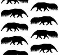 Vector seamless pattern of anteater silhouette