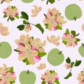 Vector seamless pattern with apple tree blossom